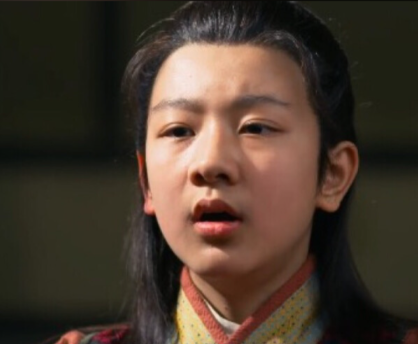 嬴芾：战国风云中的泾阳君，秦昭襄王的胞弟传奇