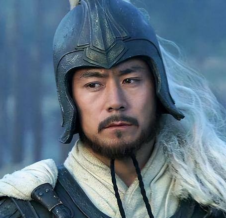 智略与忠诚的巅峰对决：陆逊与姜维的全方位较量