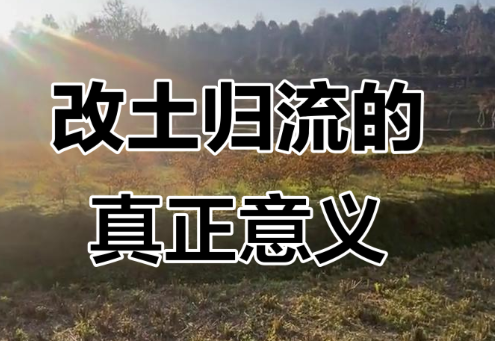 改土归流：西南边疆的制度革新与国家整合
