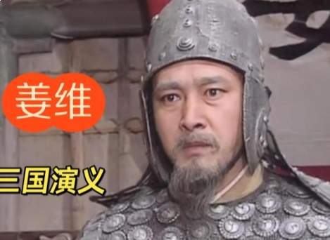 孤剑向中原:姜维二十余年北伐的兴复之路